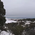 Lantställe Gorriones