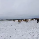 Gorriones Lantställe *