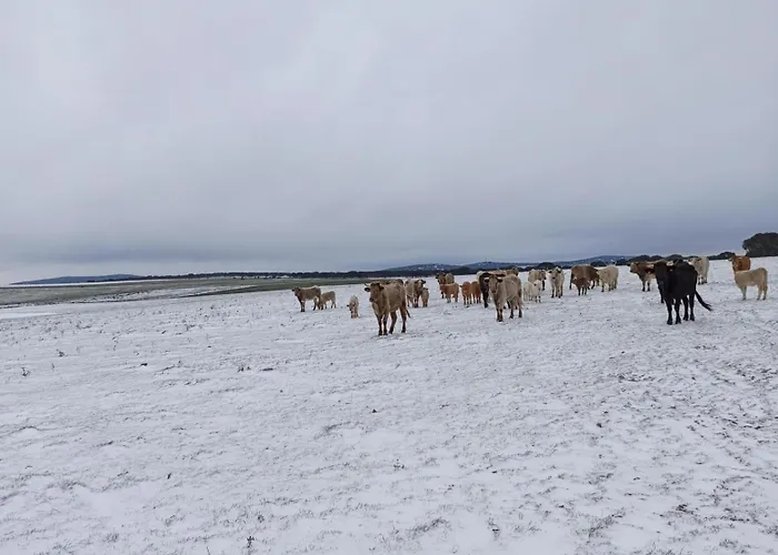 Gorriones Landhuis *